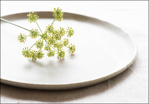 Flower on white plate
